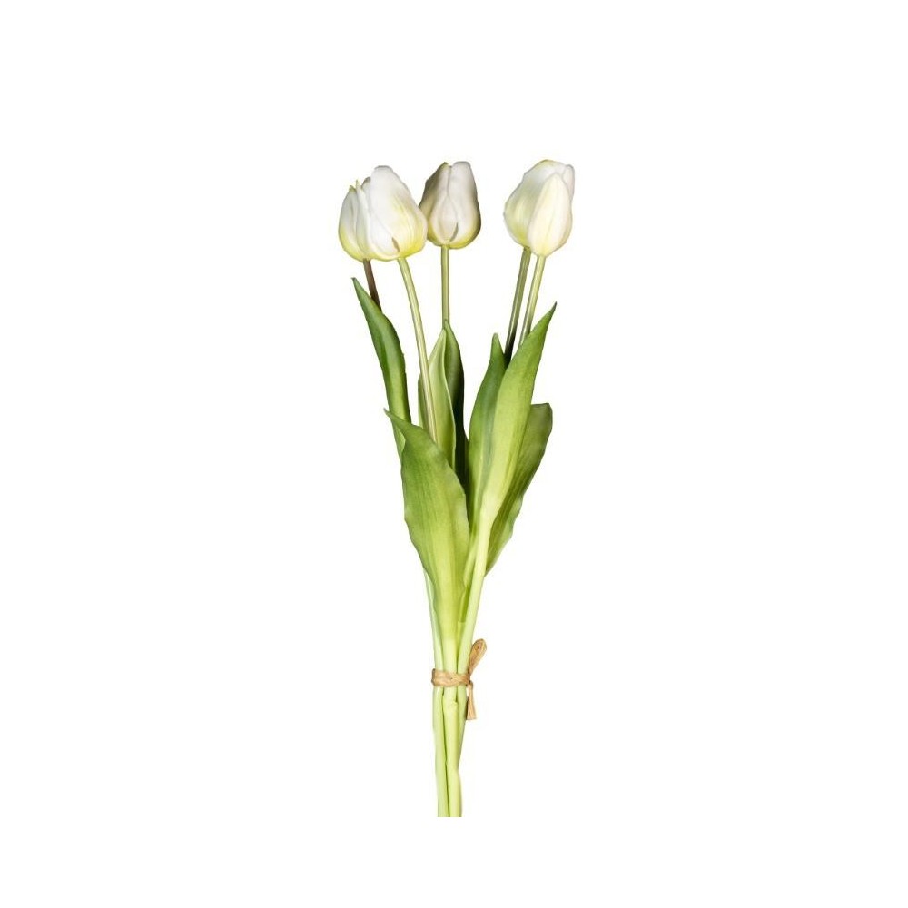 BUSH TULIPANO X5 REAL TOUCH WHITE
